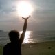 edisony0F58336D