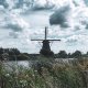 emilylamD8090AA0